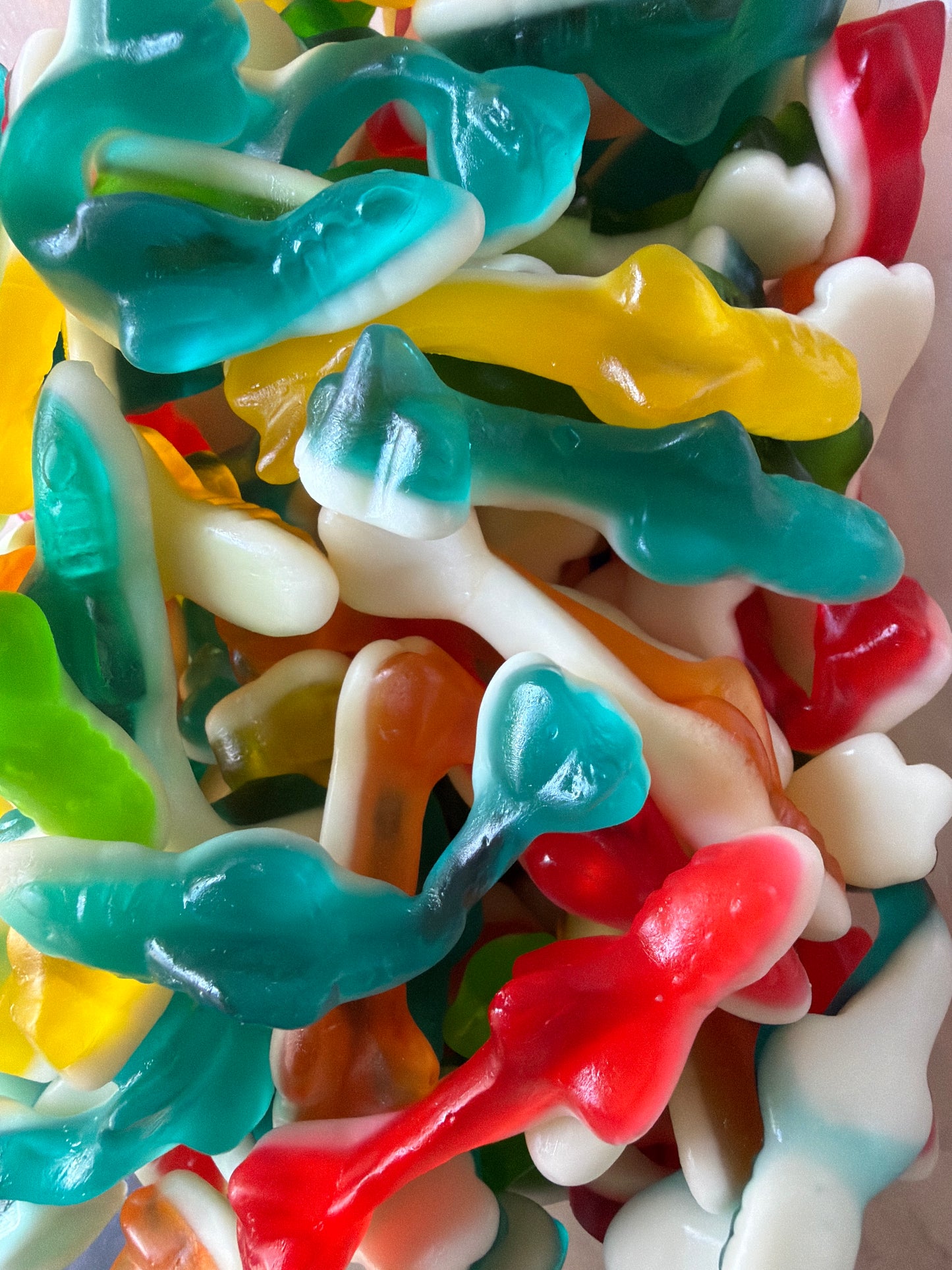 Requins ( 100g)