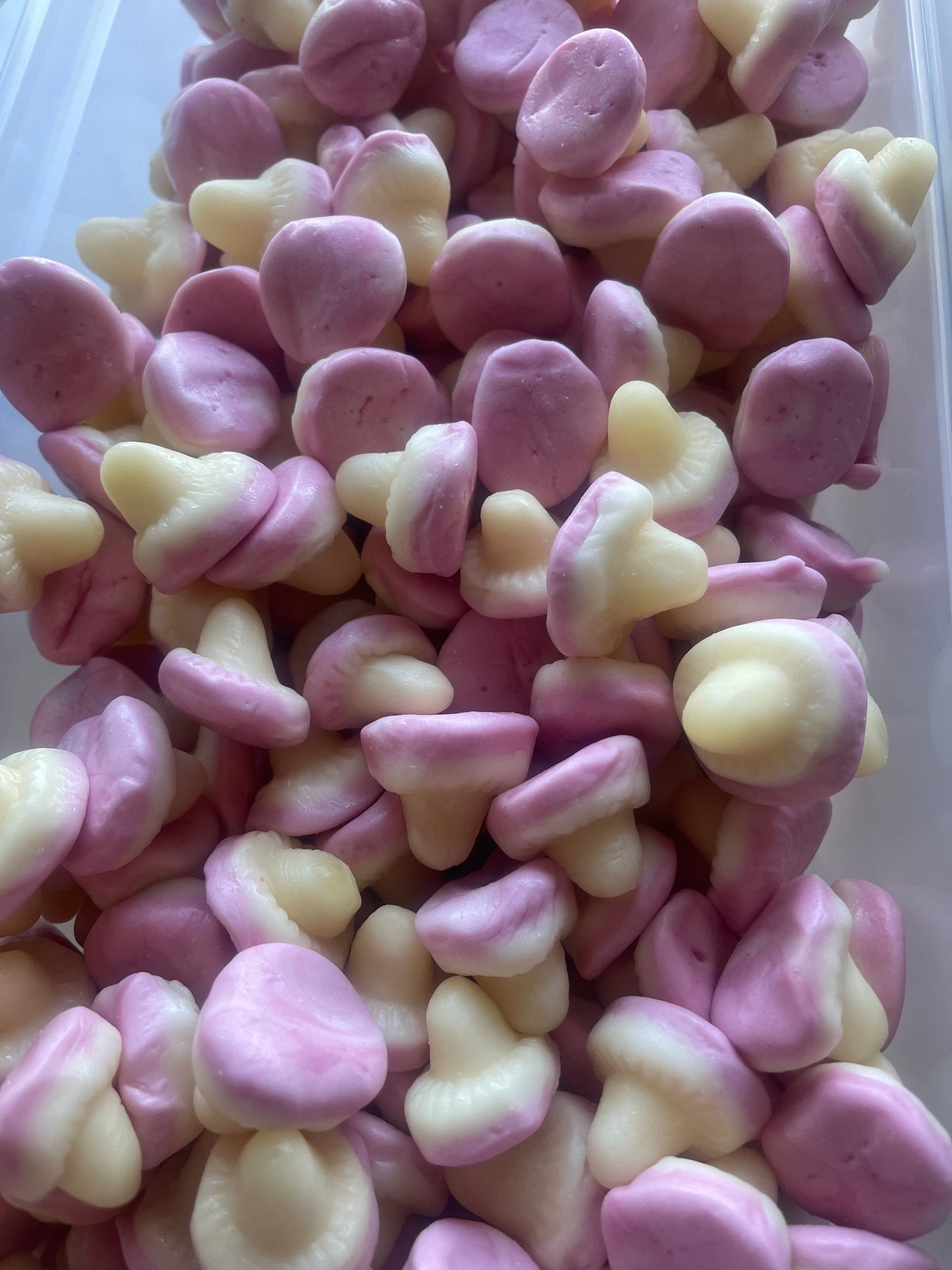 Champignon fraise lisse