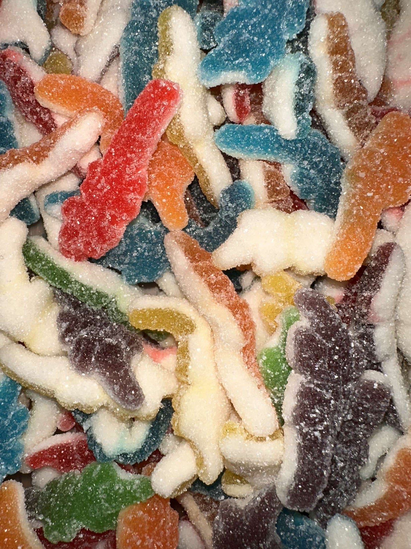 Crocodile sucrée • 100g