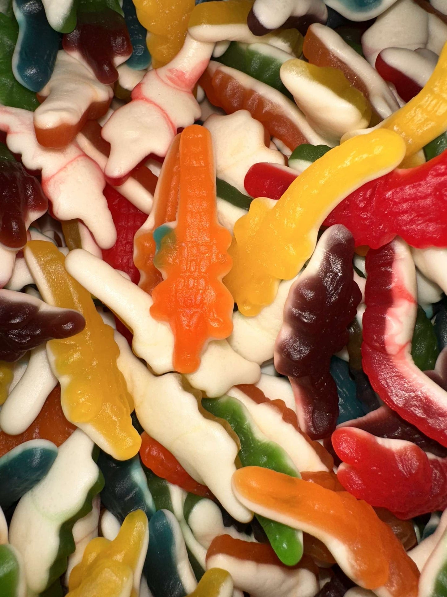 Crocodile lisse • 100g