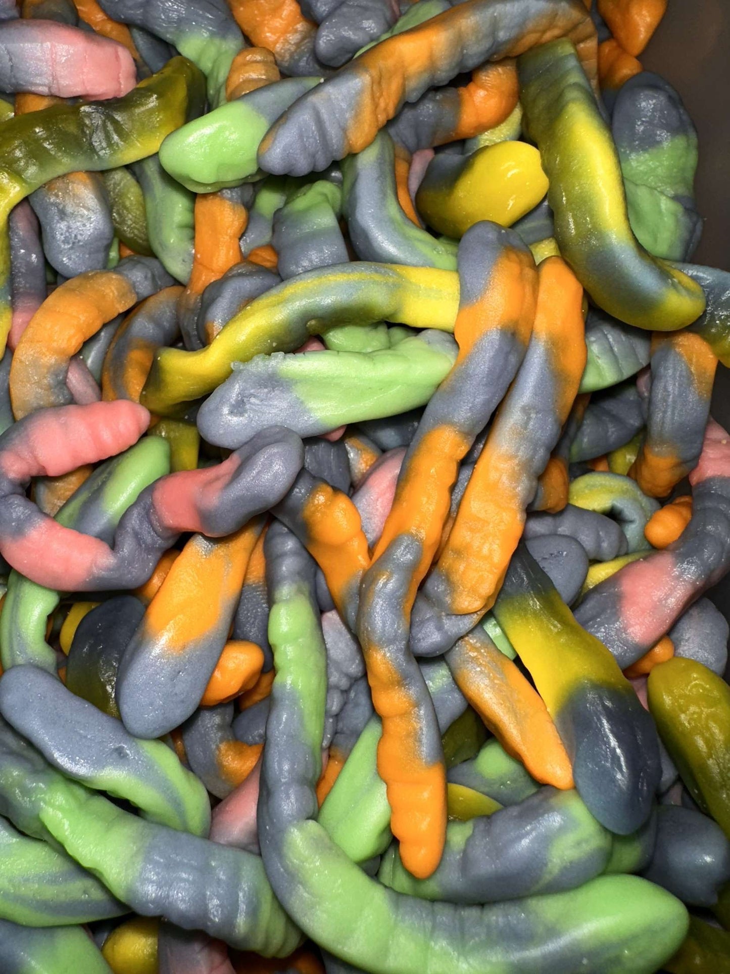 Serpent lisse • 100g