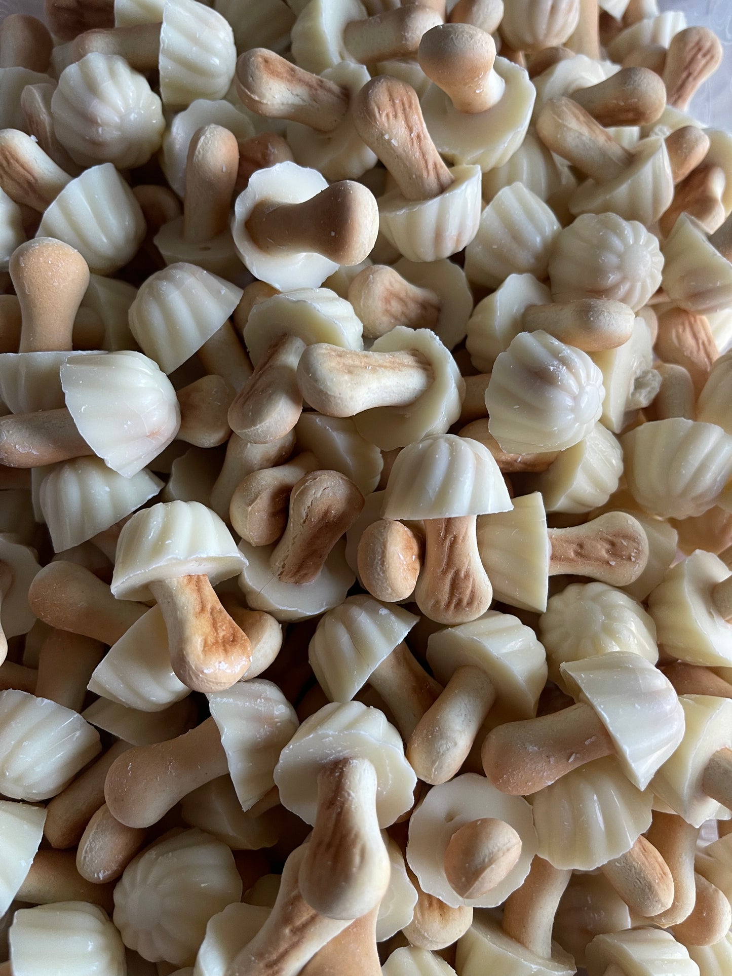 Champignon chocolat blanc (10)