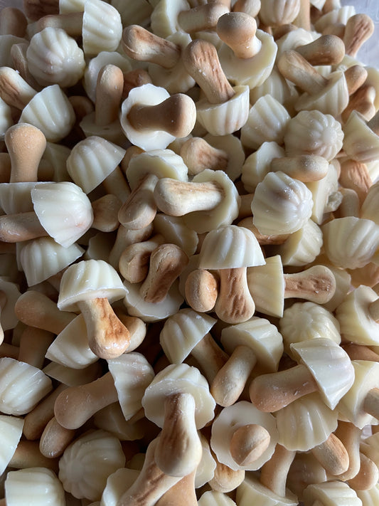 Champignon chocolat blanc (10)