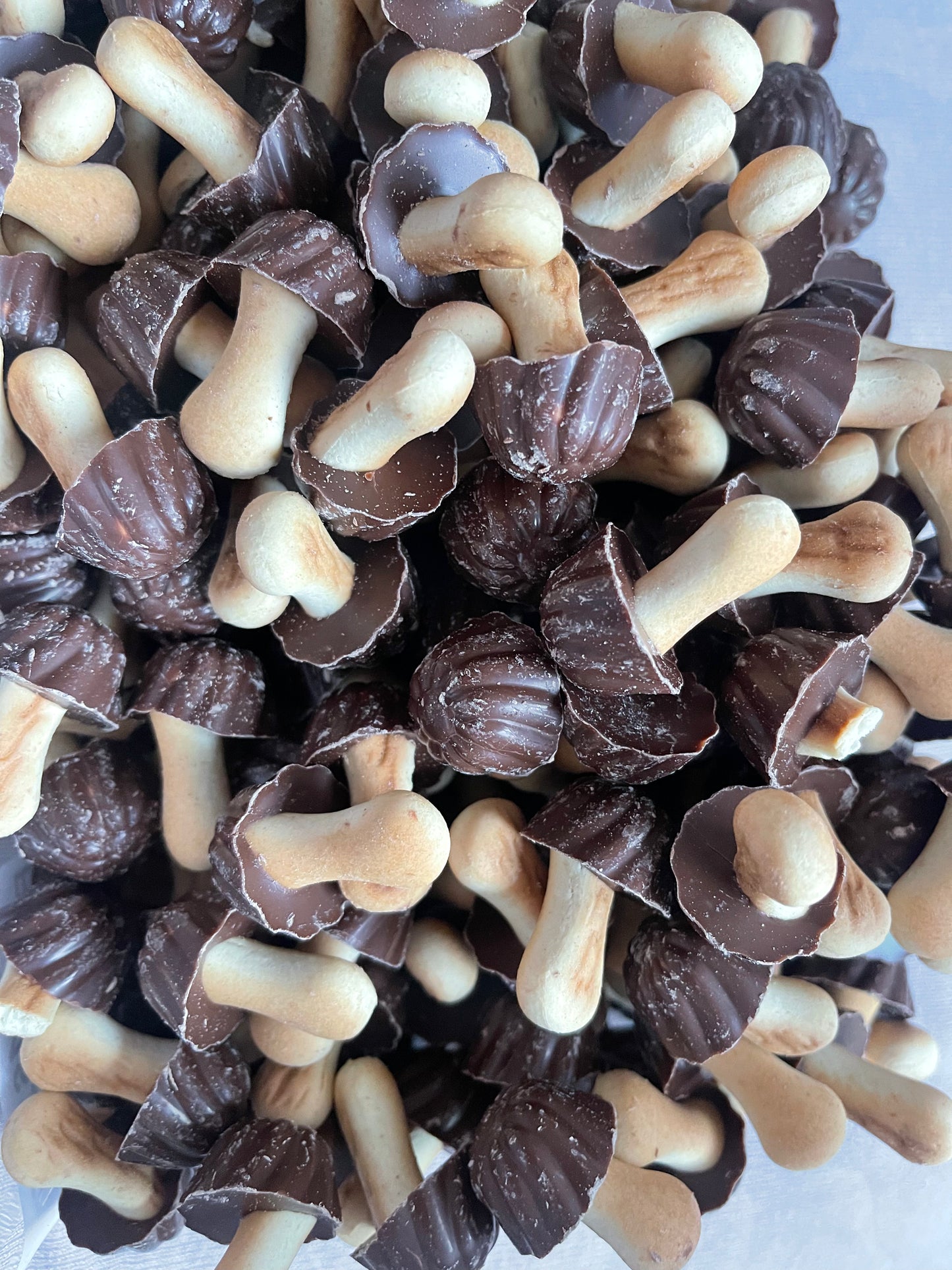 Champignon chocolat lait (10)